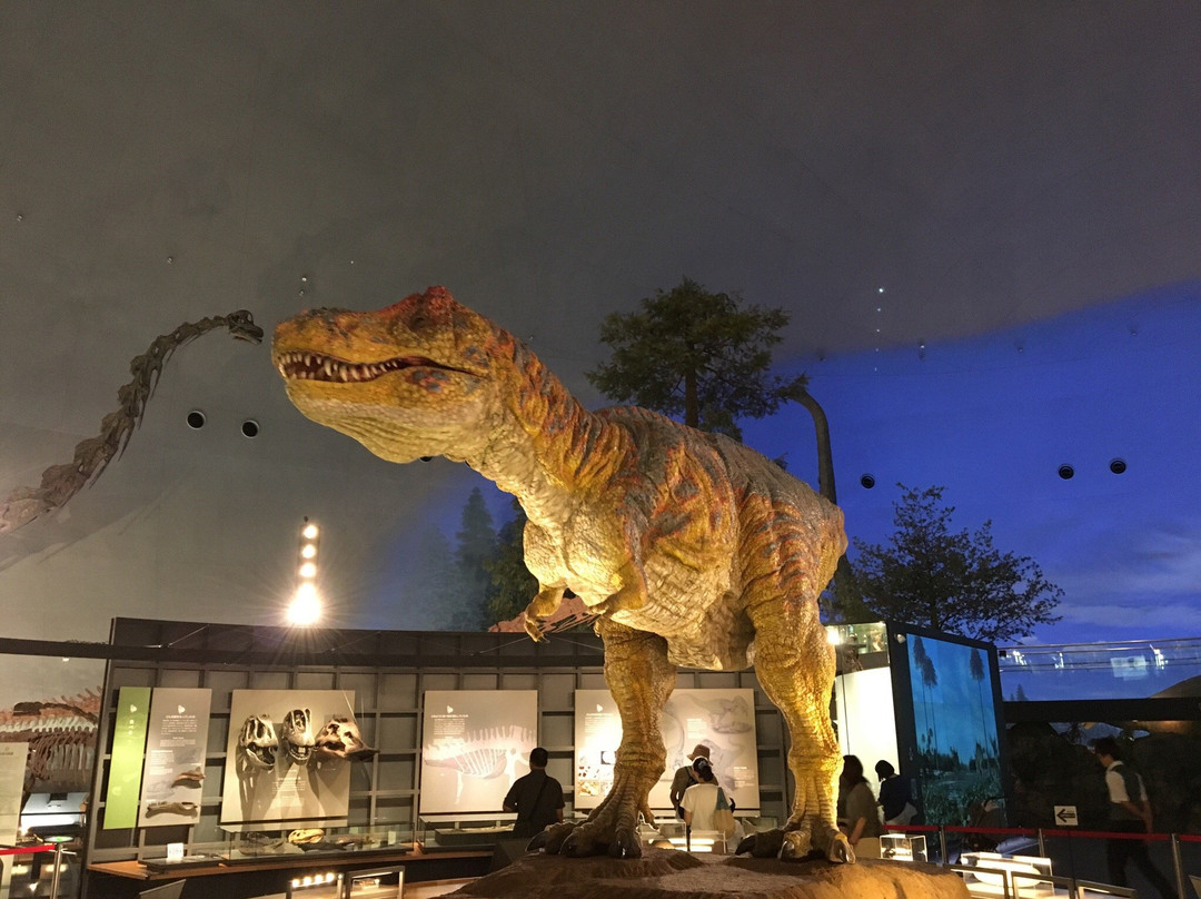 Fukui Prefectural Dinosaur Museum景点图片