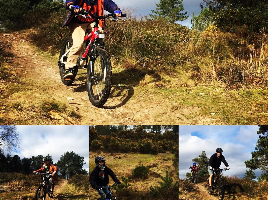 Sika Trail Bike hire景点图片