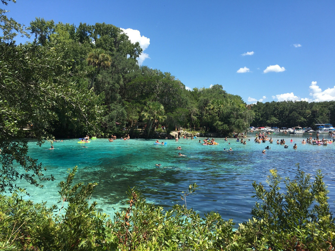 Silver Glen Springs Recreation Area景点图片