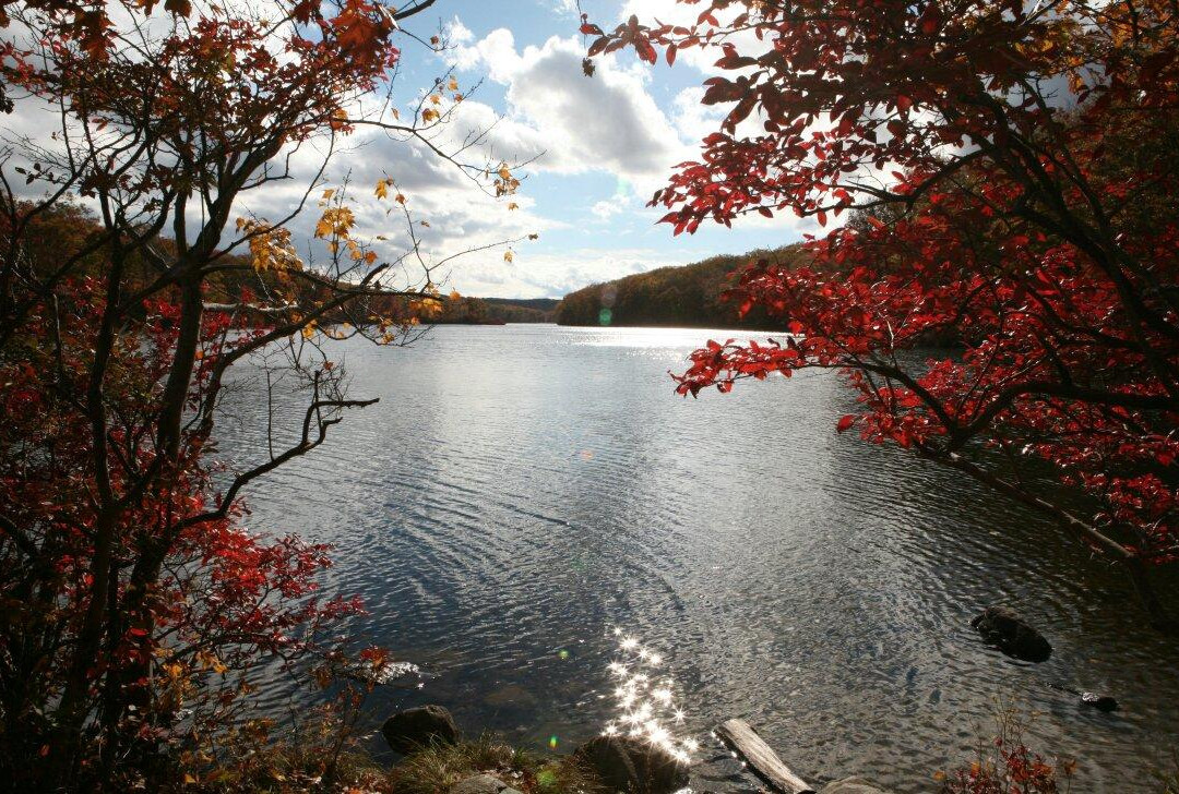 7 Lakes Drive景点图片