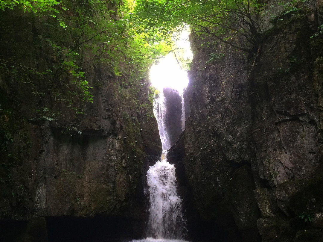 Catrigg Force Waterfall景点图片