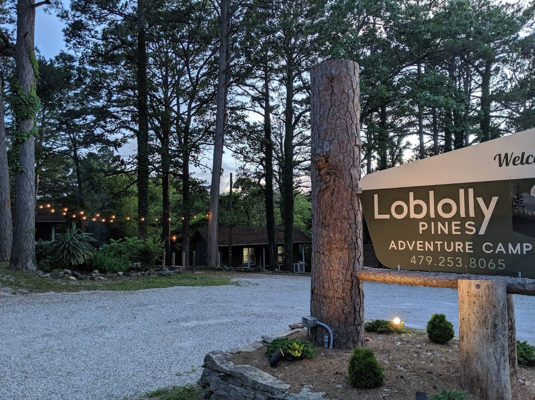 Loblolly Pines Adventure Log Cabin