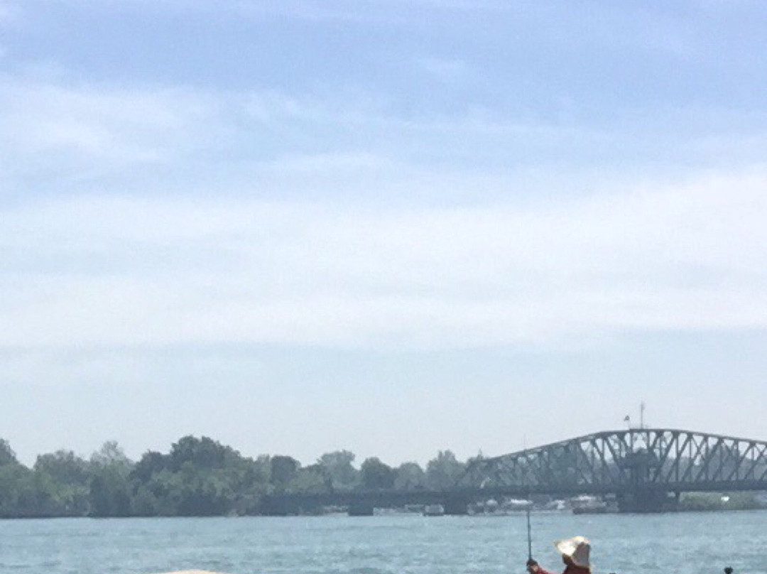 Elizabeth Park景点图片