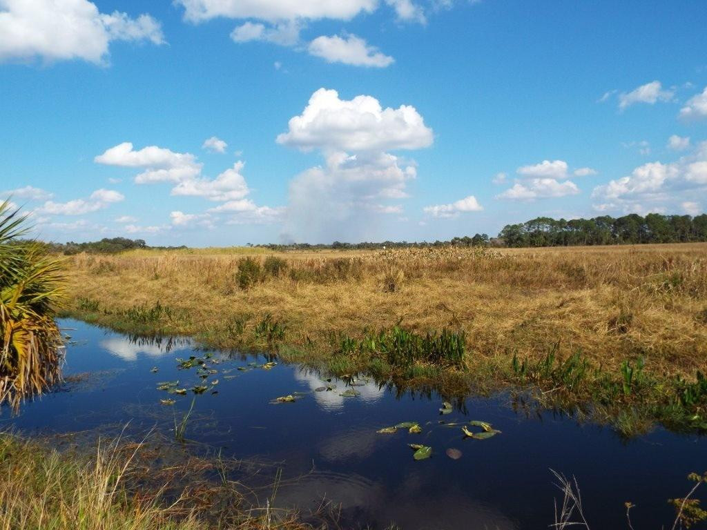 Felda旅游攻略图片