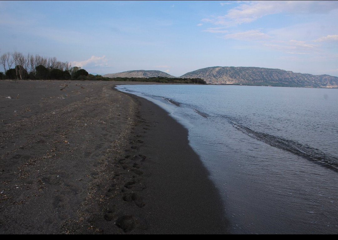 Plazhi i Velipojes景点图片