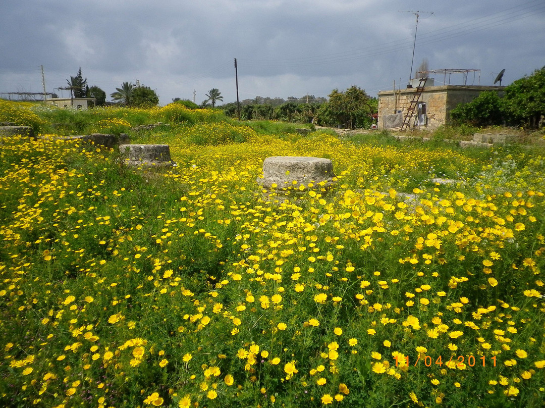 Sidon旅游攻略图片