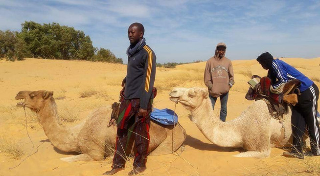 Agsil Senegal Travel Tour-达喀尔必去景点