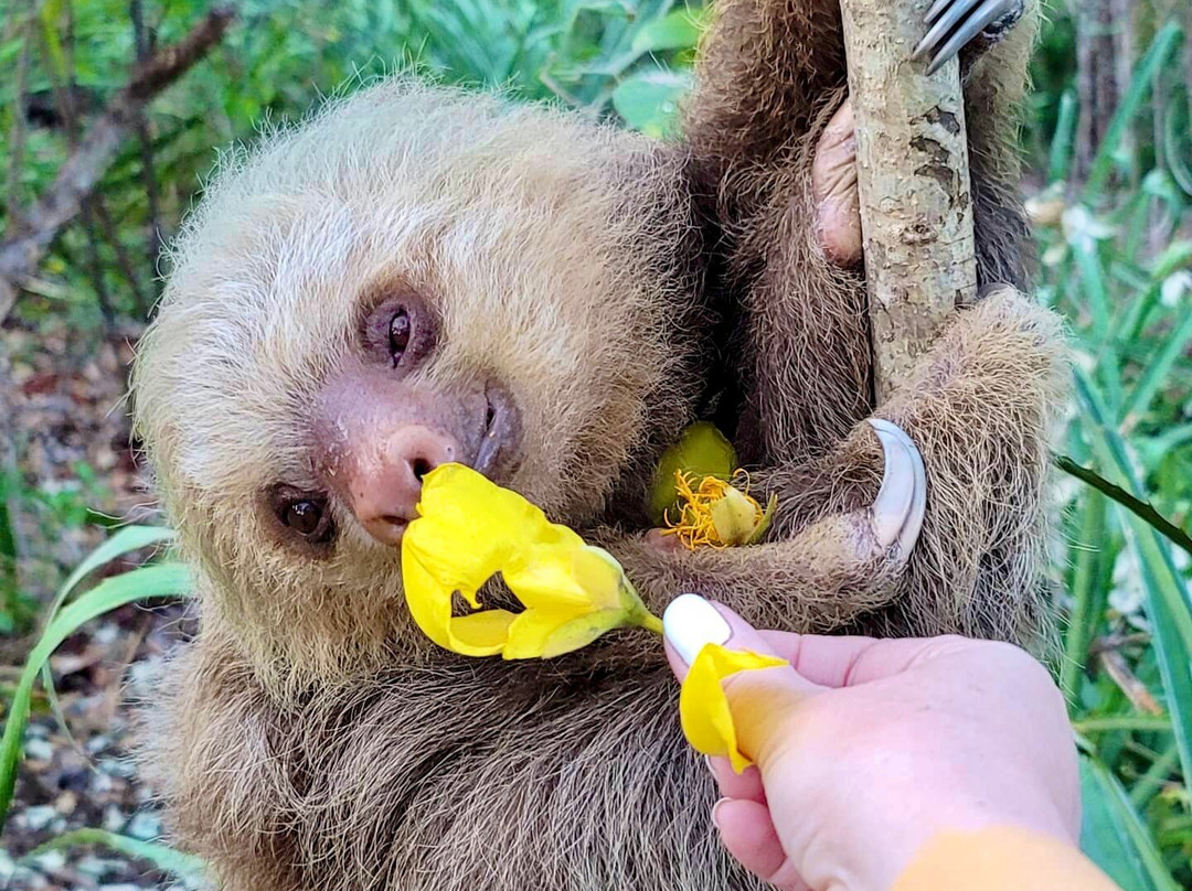 Portegolpe旅游攻略图片