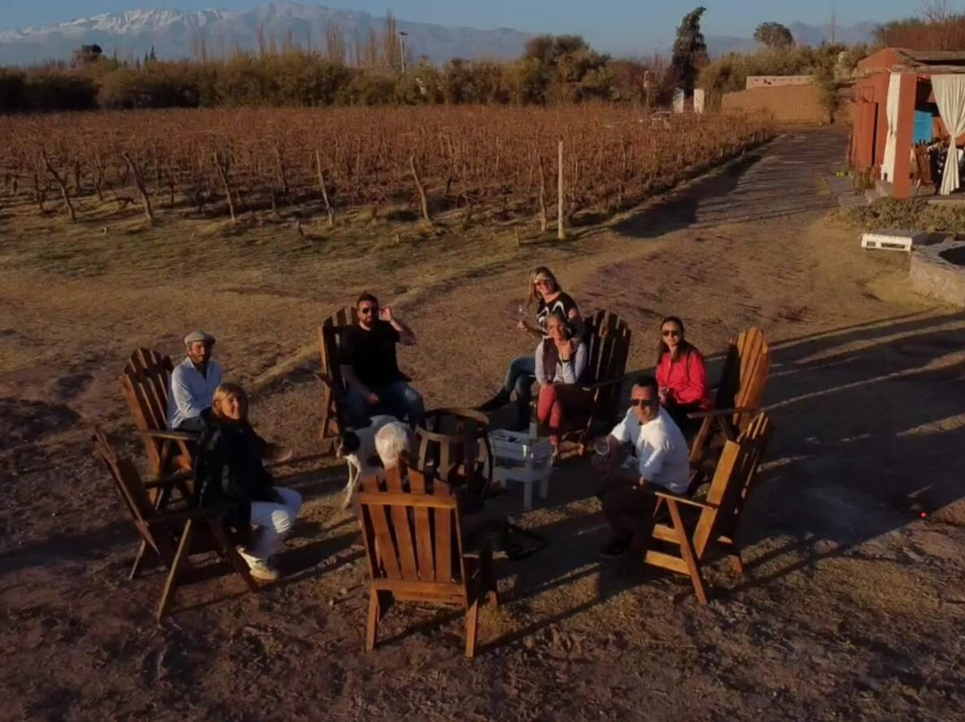 Bodega Sacavino Arrieta-拉里奥哈必去景点