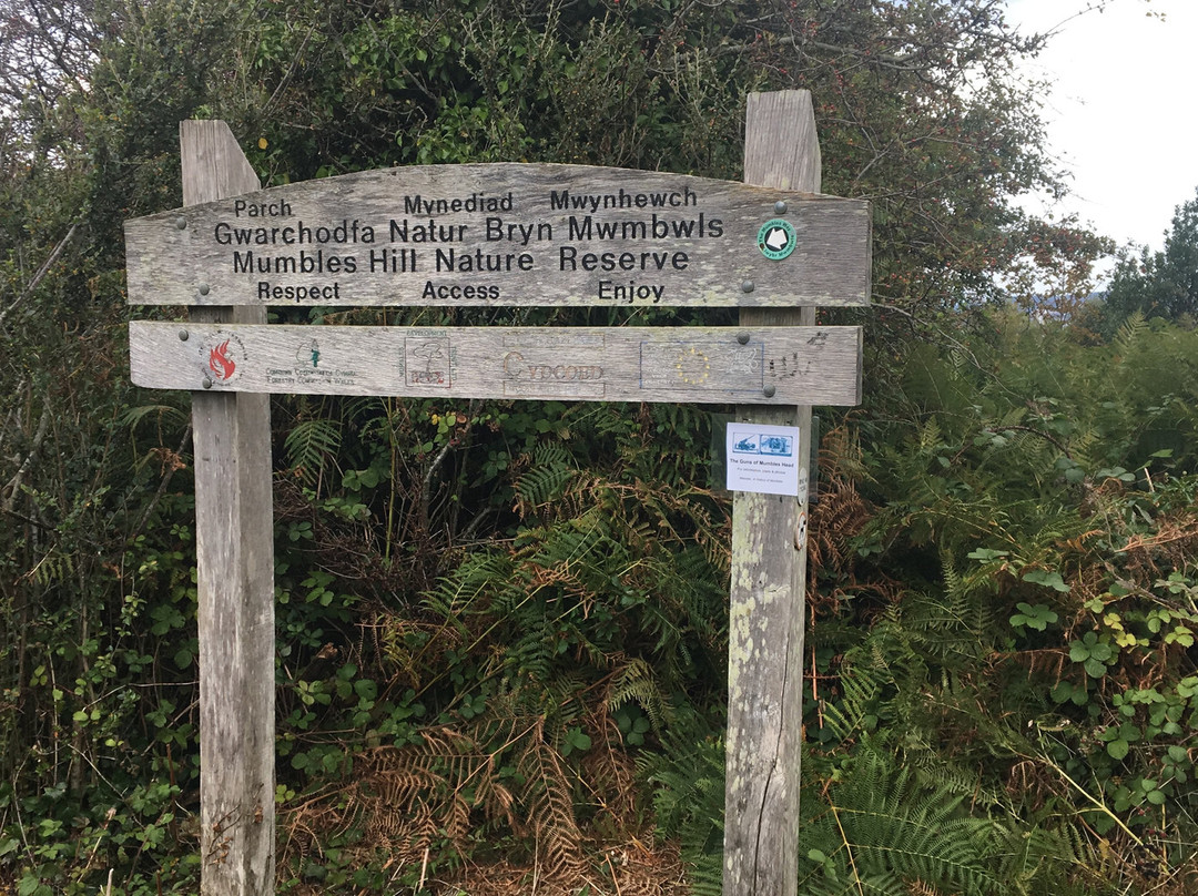 Mumbles Hill Local Nature Reserve景点图片