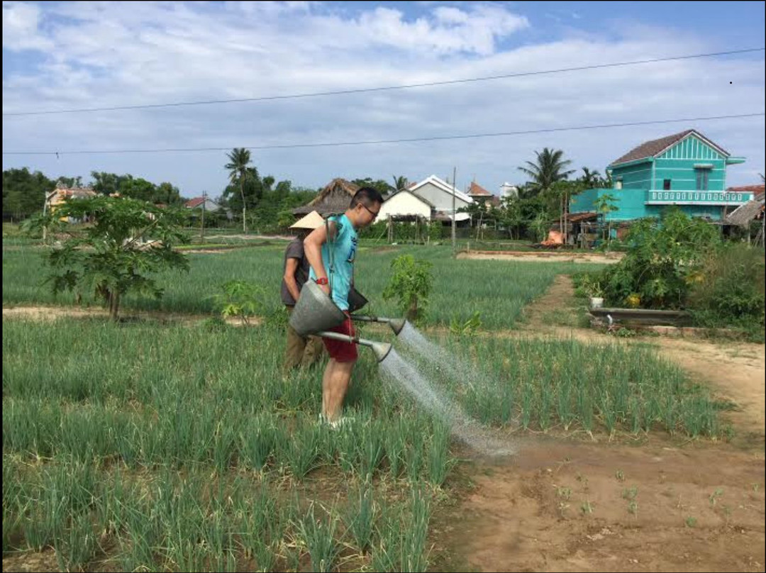 Danang Cooking Tour-岘港必去景点