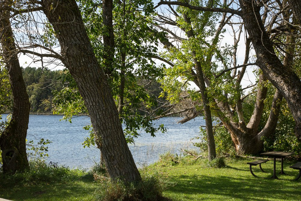 Moose Lake State Park景点图片