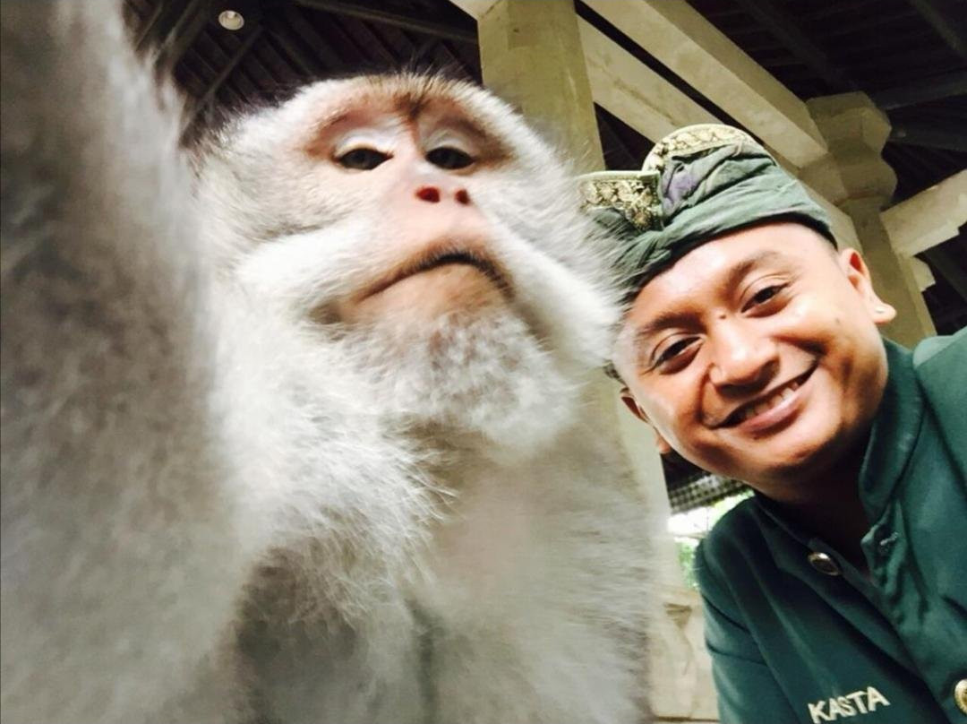 Casta Bali Driver-乌布必去景点