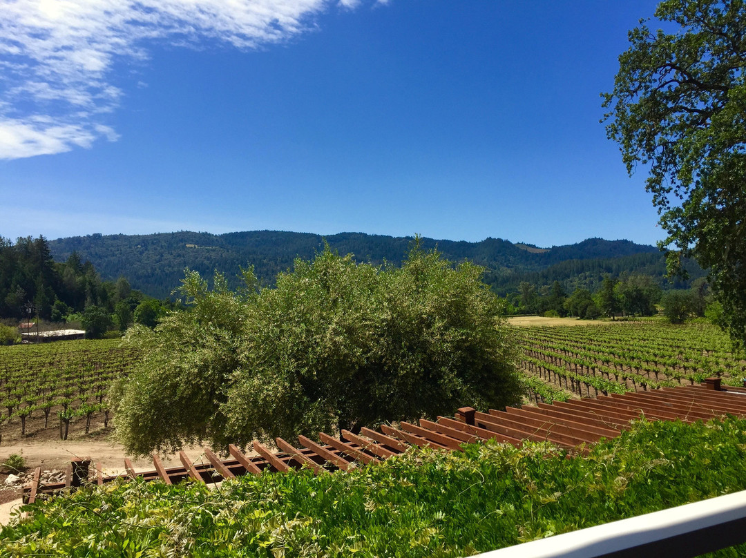 Venge Vineyards景点图片