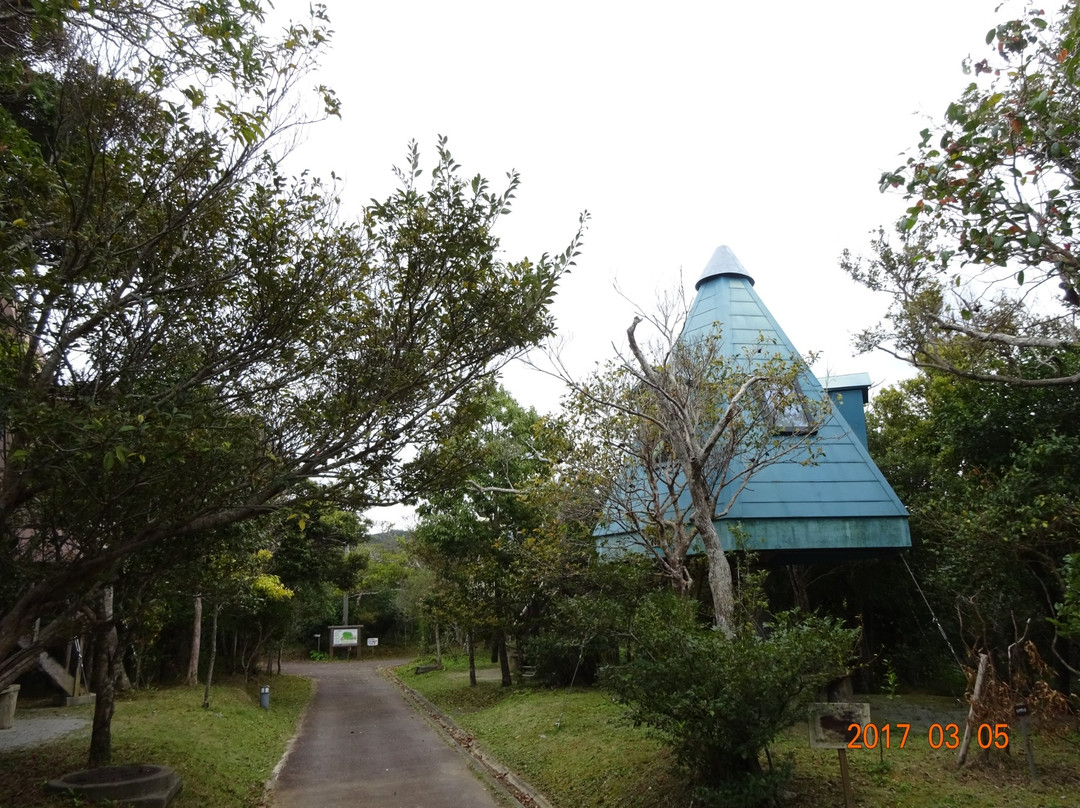 Kunigami Village Forest Park景点图片