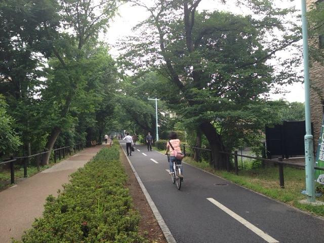 Tama Lake Cycling Road