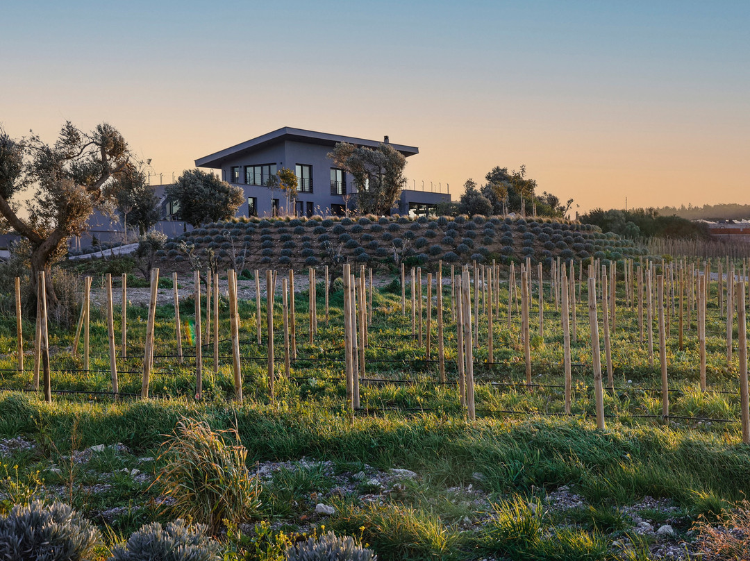 Hus Winery景点图片