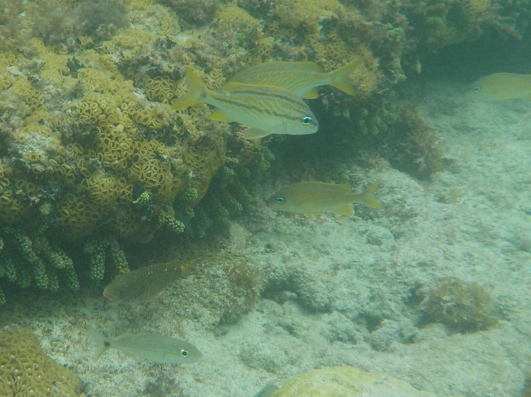 Whale Bone Bay-St. George's必去景点
