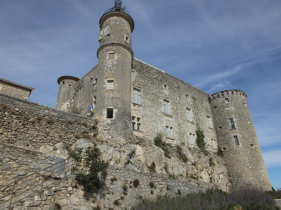 Château de Lussan景点图片