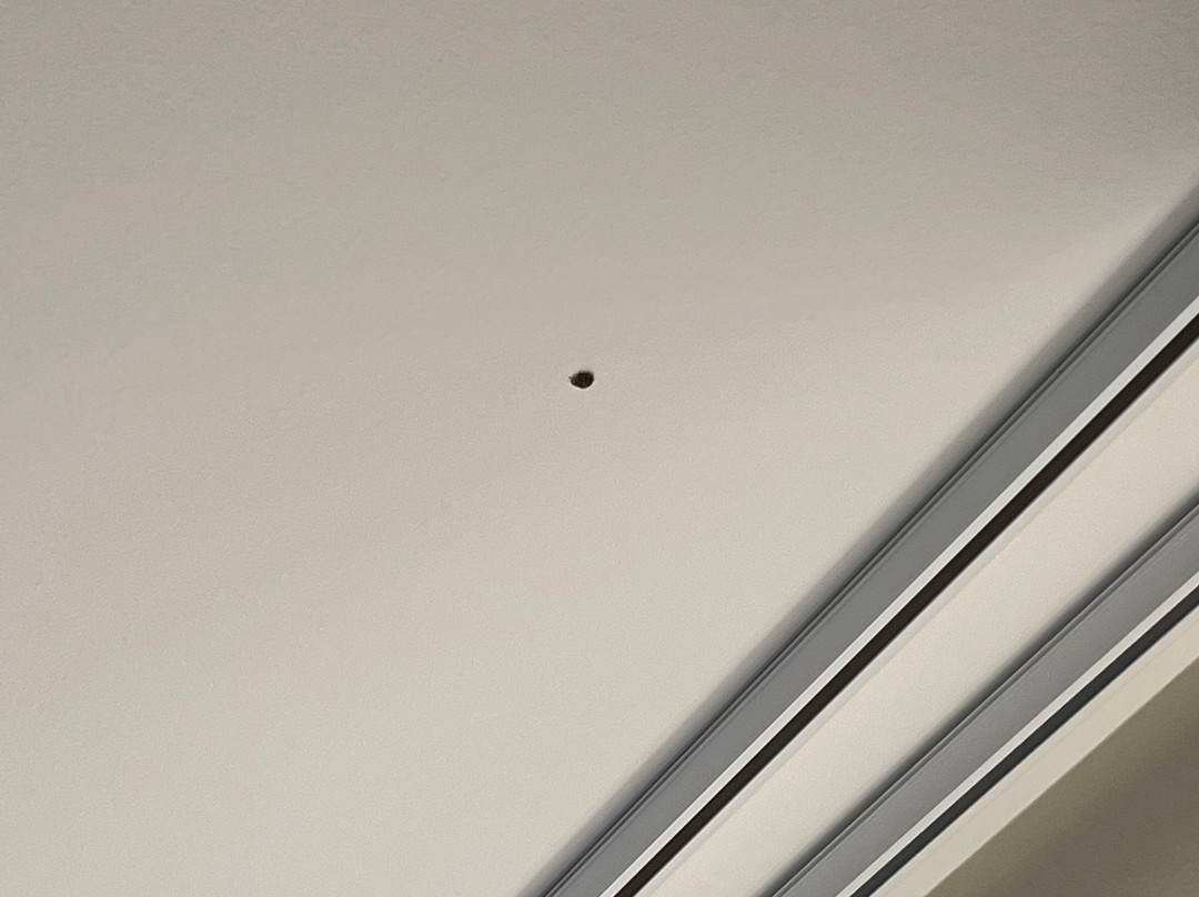 Staybridge Suites Madison - Fitchburg by IHG主图