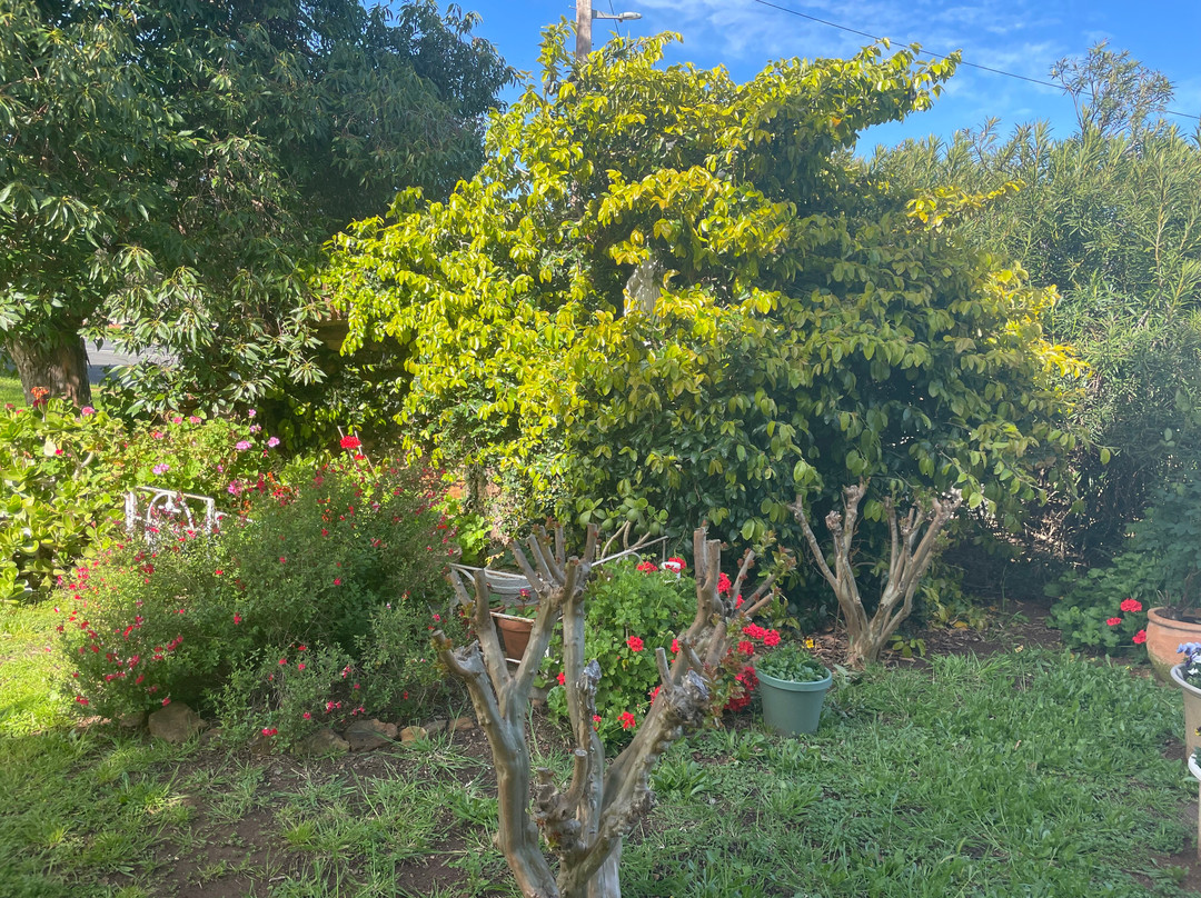 St James' Catholic Church