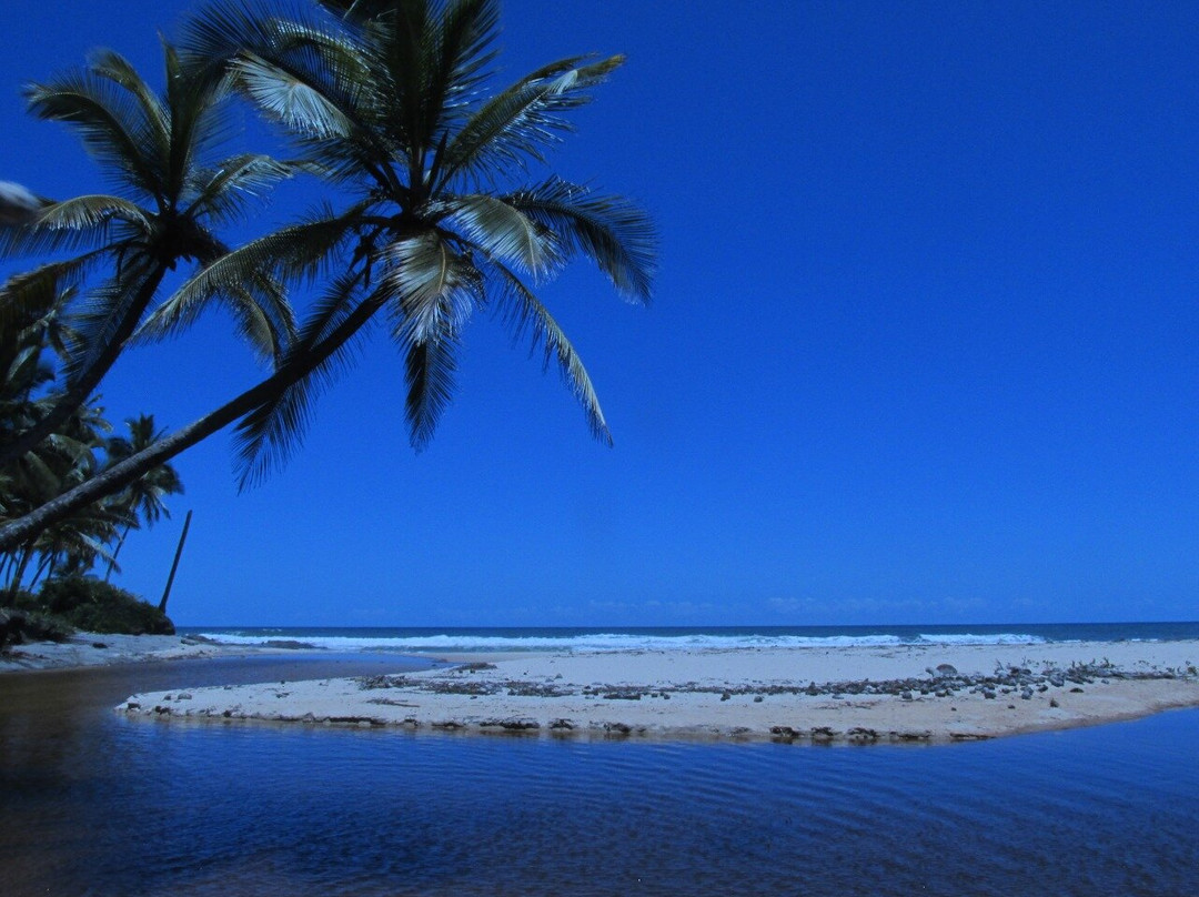 Mar de Selva Ecosocial Tour