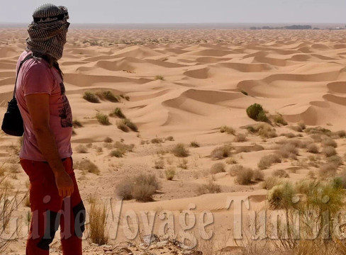 Depart Travel Services