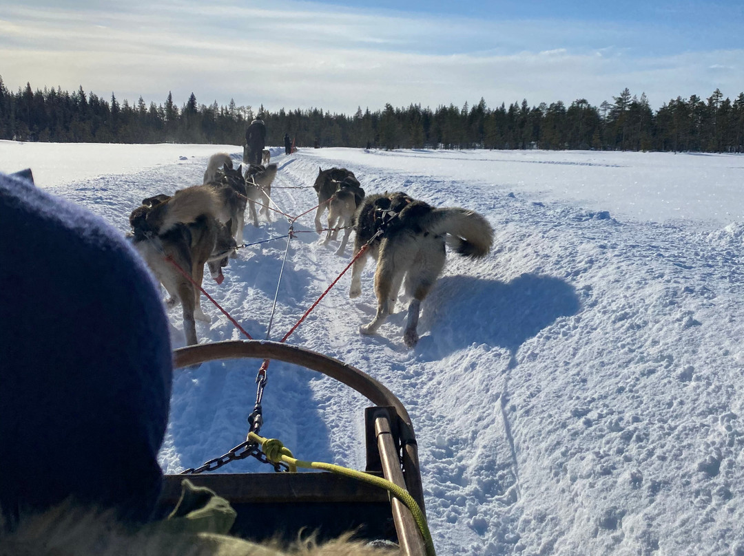Tundra Huskies Huskyfarm景点图片