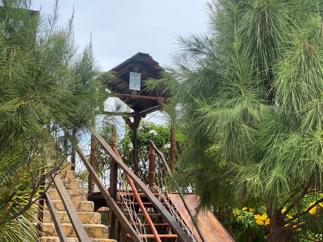 Leao Beach Pousada主图