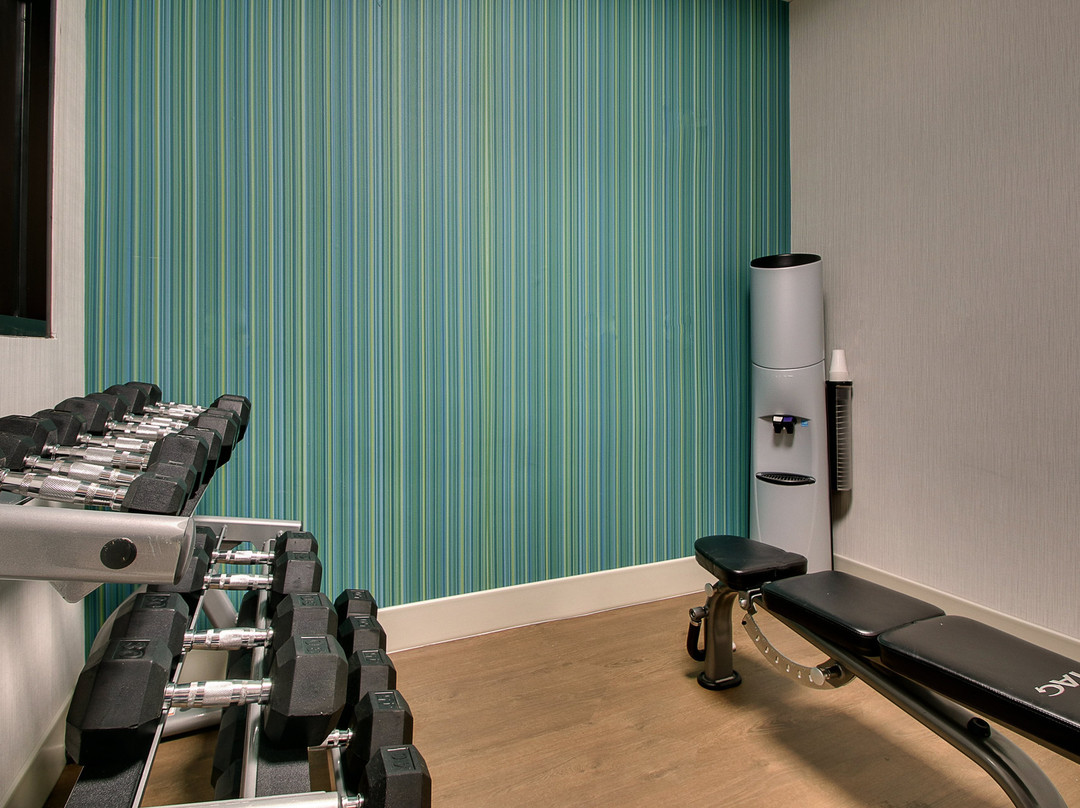 Holiday Inn Express & Suites Atlanta Nw - Powder Springs By IHG主图