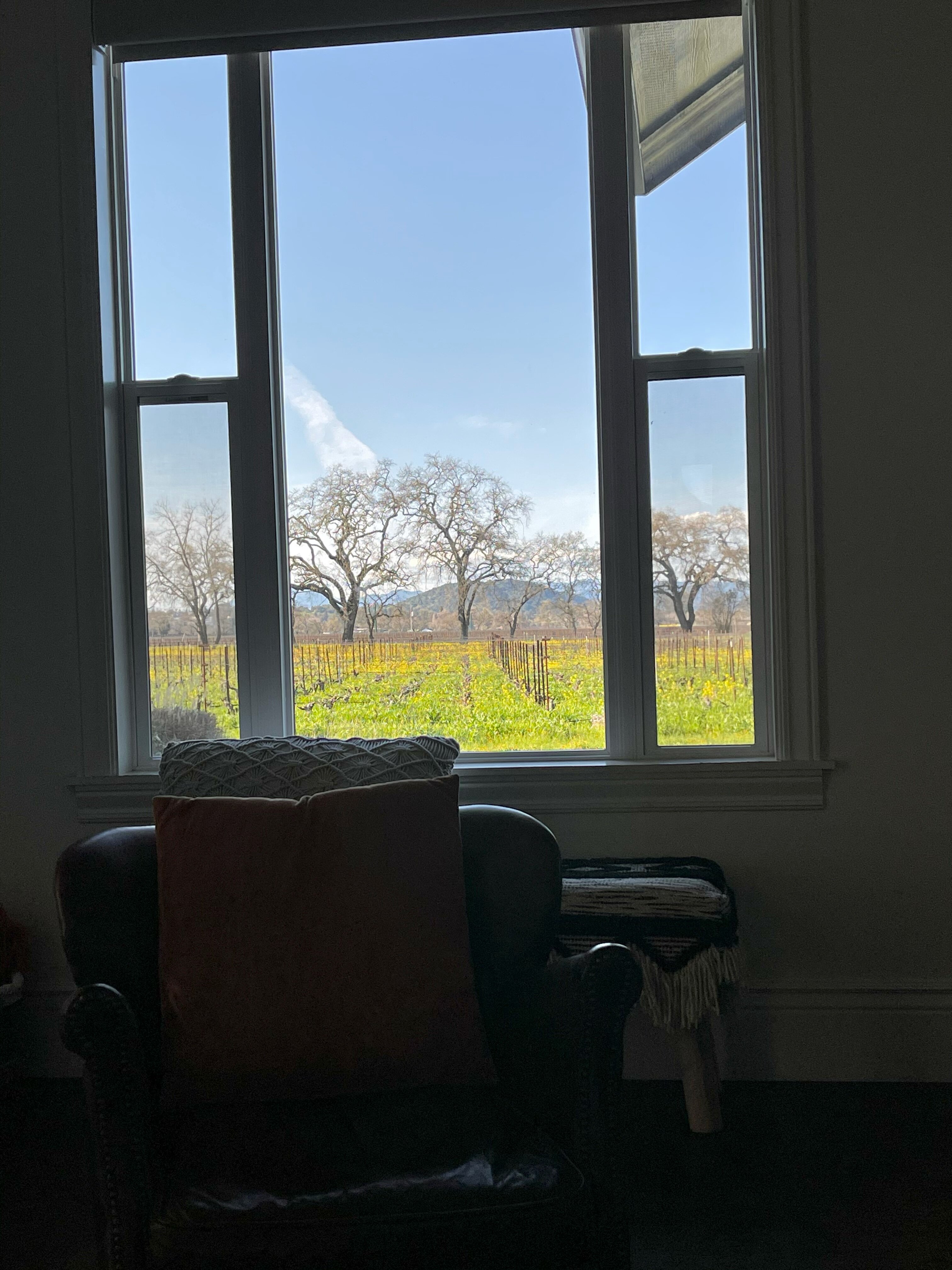 The Setting Inn Napa Valley-酒店景观