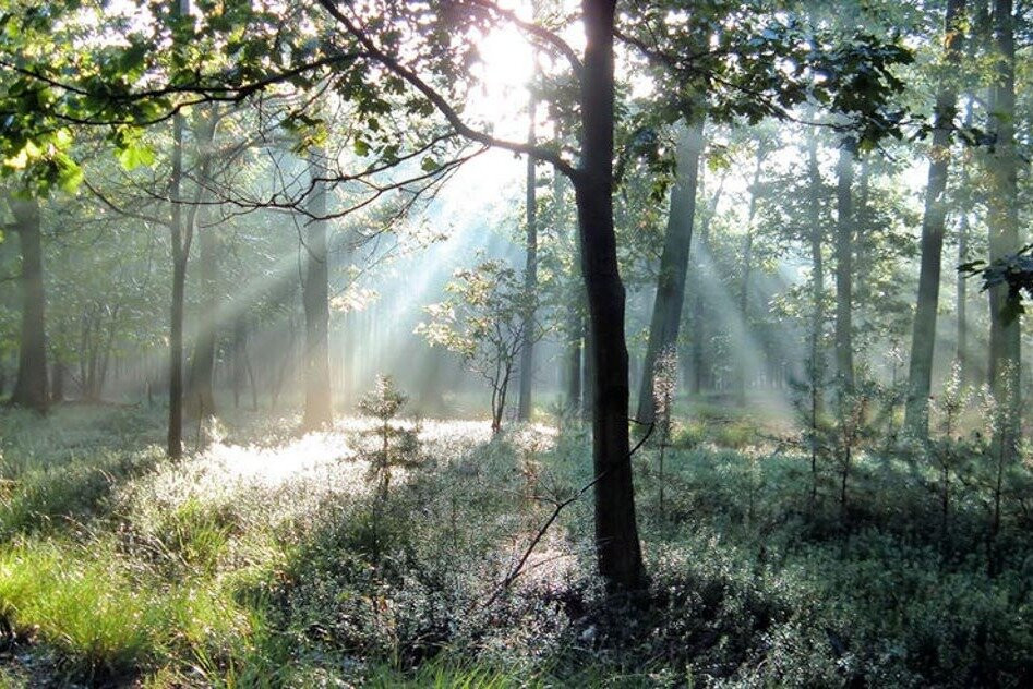 Healing Retreat Center in Costa Rica-Esterillos Este必去景点