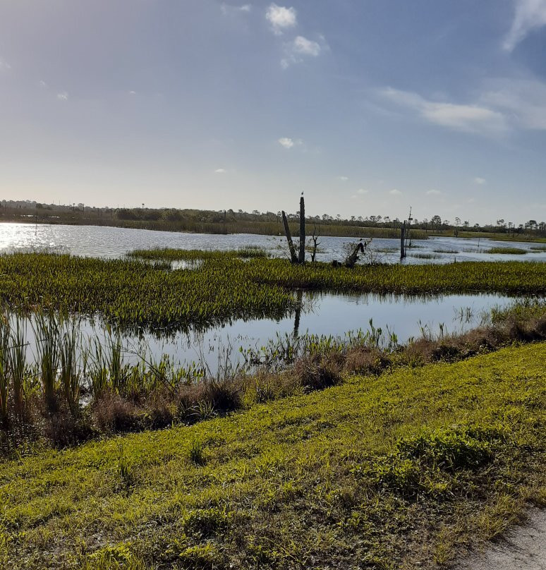 Ritch Grissom Memorial Wetlands景点图片