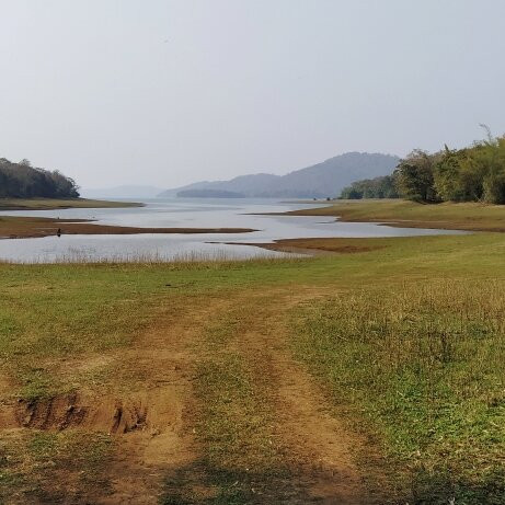 Bhadra Wildlife Sanctuary景点图片
