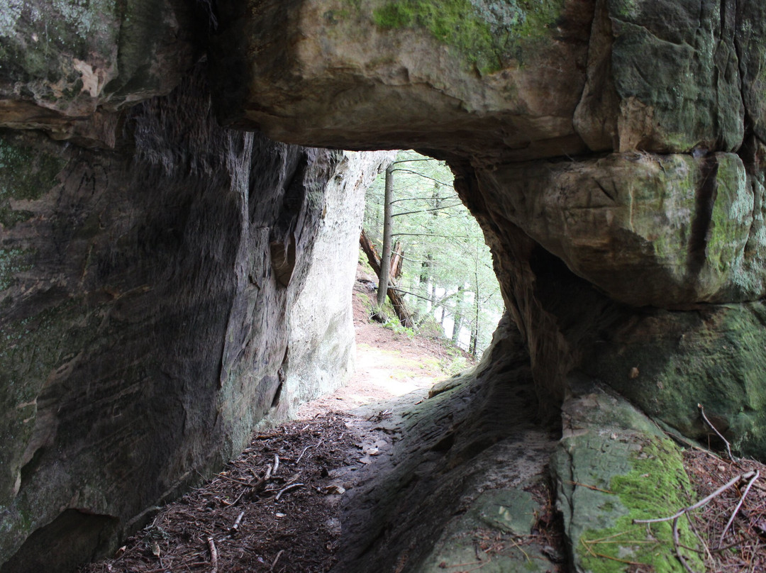 Hemlock County Park景点图片