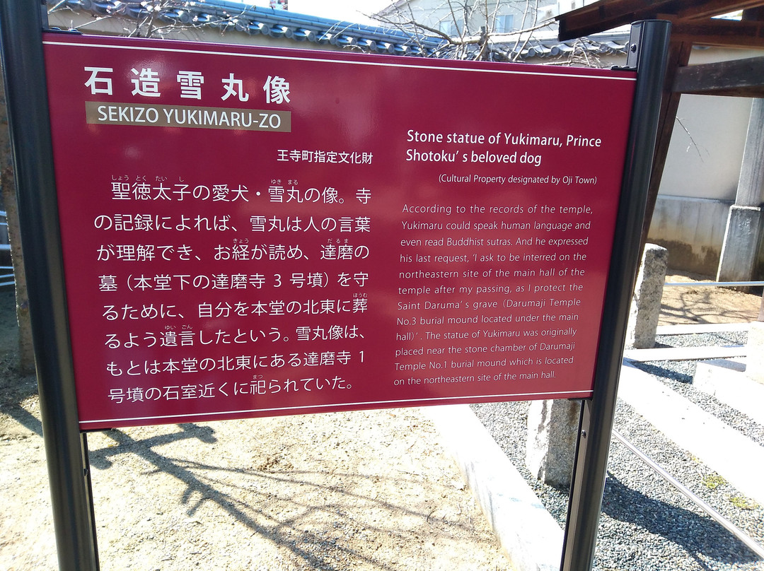 Daruma-ji Temple景点图片