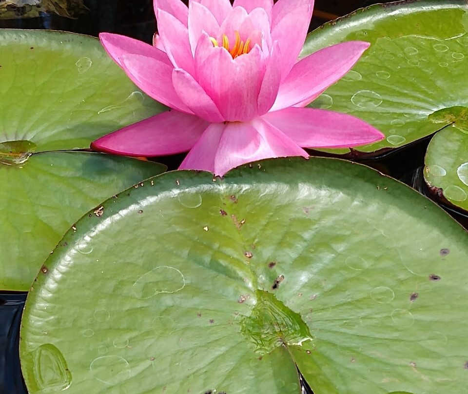 Hotel Spa Estancia San Joaquin主图