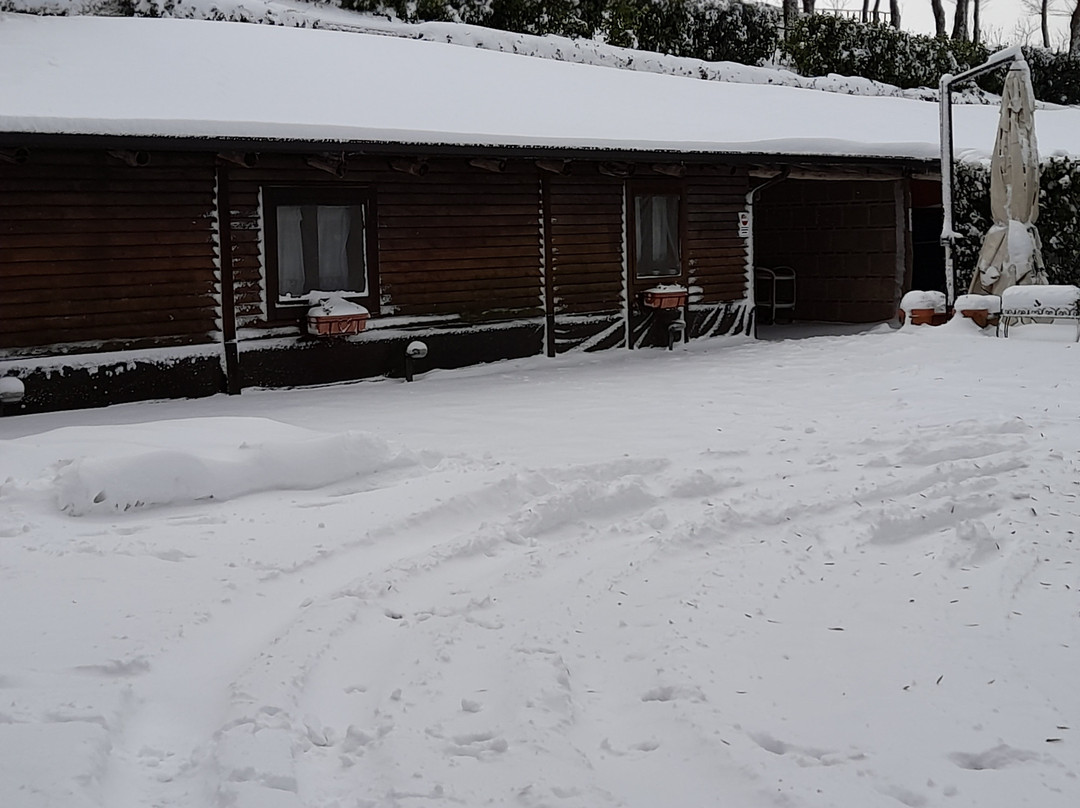 Agriturismo Ricciardelli主图