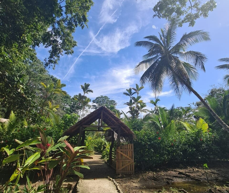 Playa Punta Uva景点图片