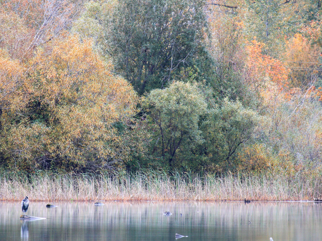 Cowichan River Lodge主图