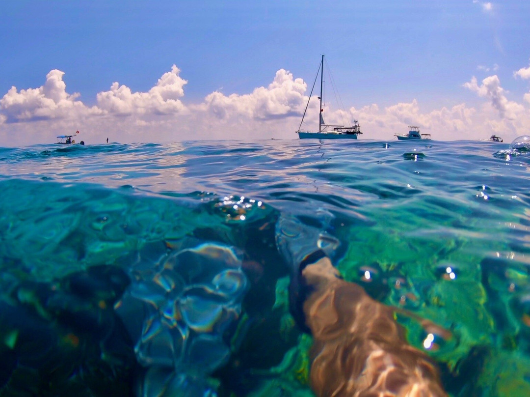 Blown Away Yacht Charters, LLC-基韦斯特必去景点