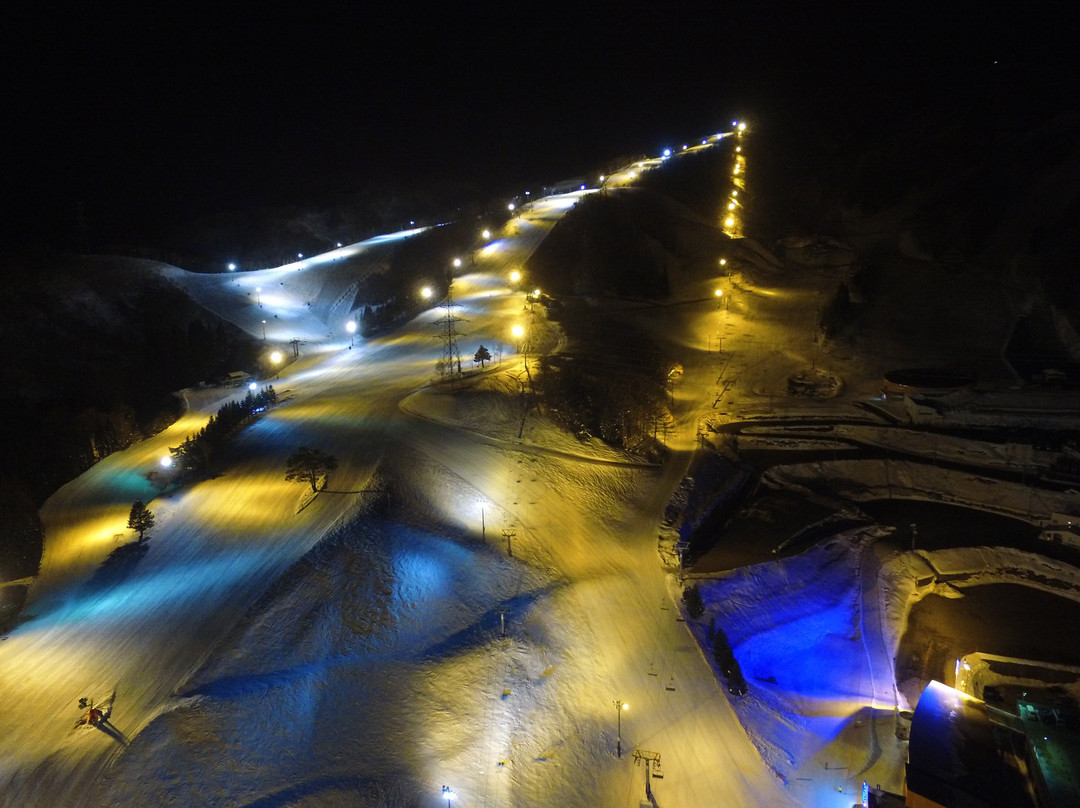 Dynaland Snow Resort-郡上市必去景点
