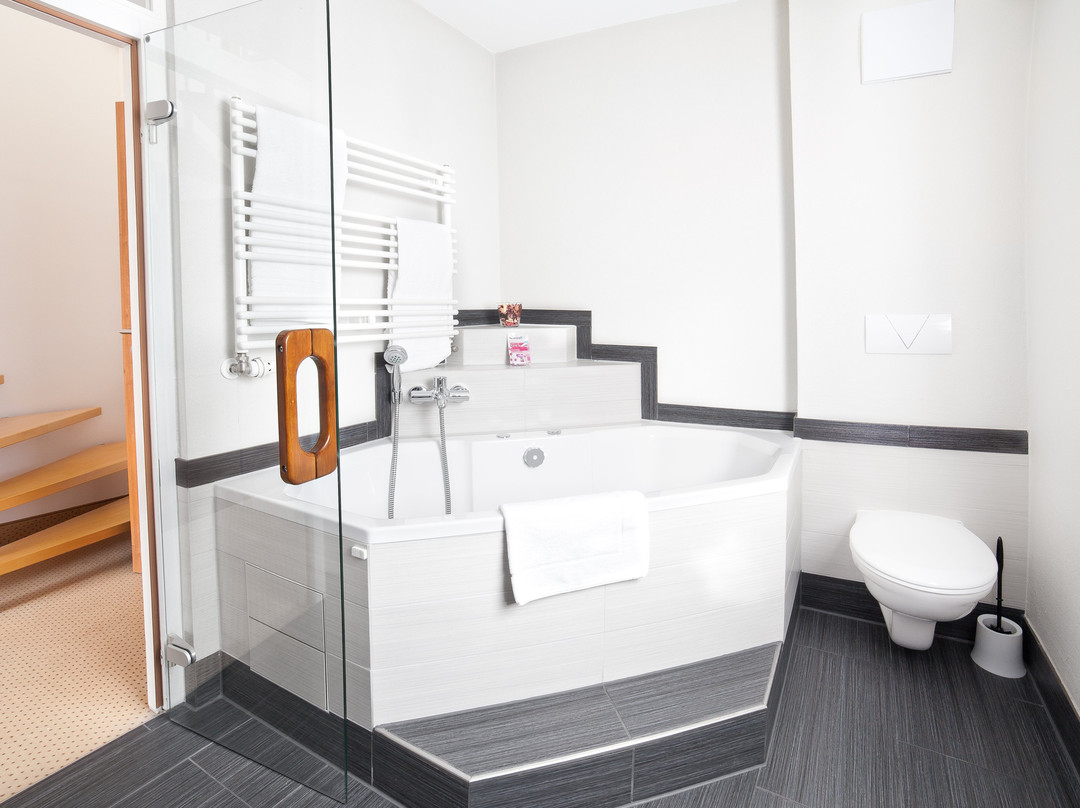 Allgovia Hotel主图