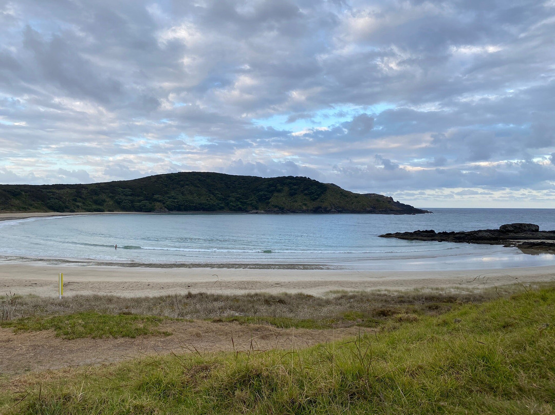 Matai Bay-Karikari Peninsula必去景点