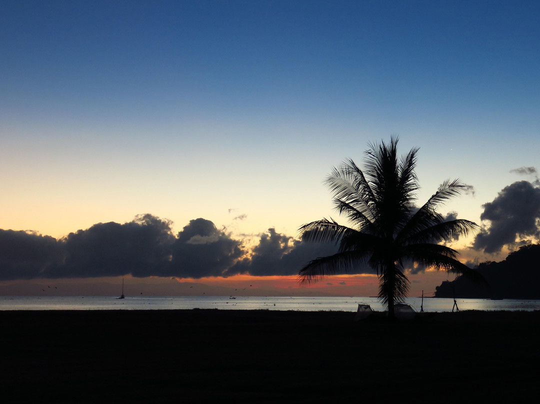 坦伯尔热带酒店主图