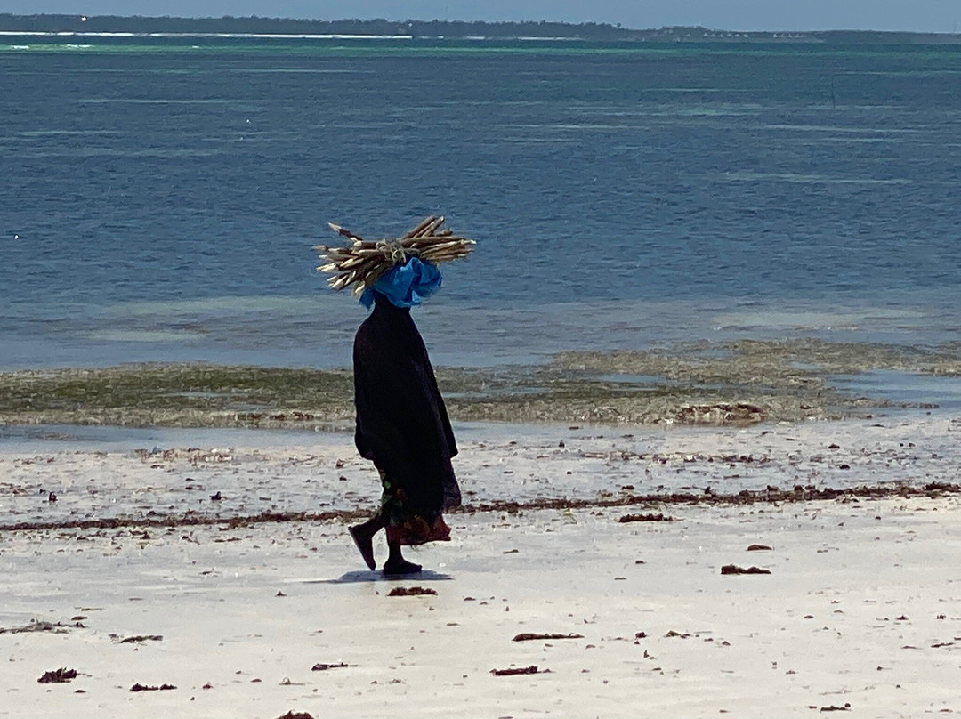 Uroa Bay-乌罗阿必去景点