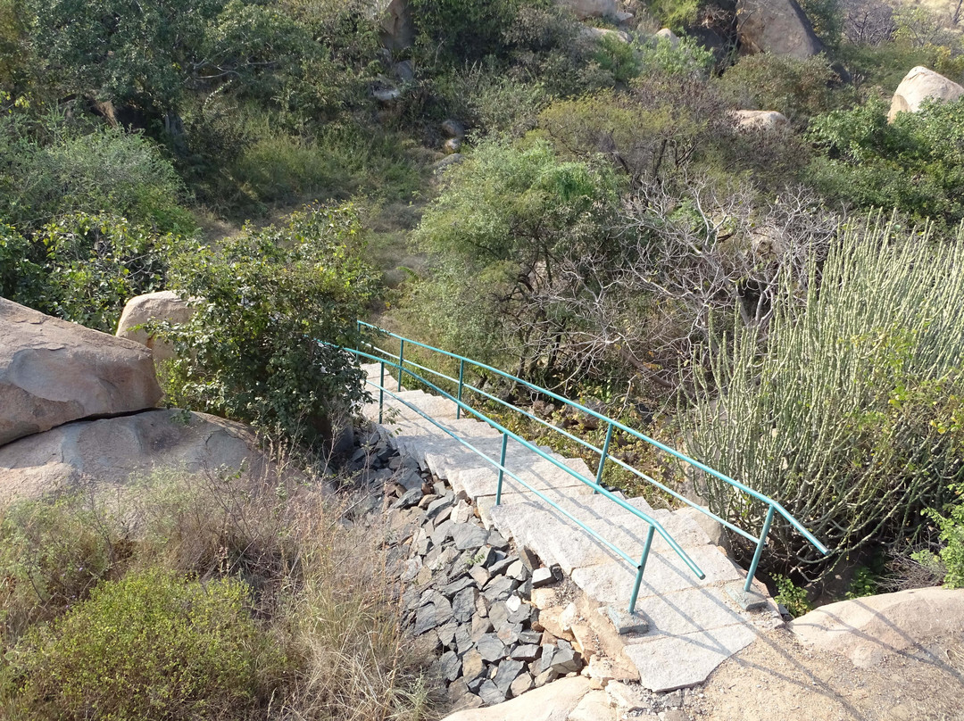 Daroji Bear Sanctuary景点图片