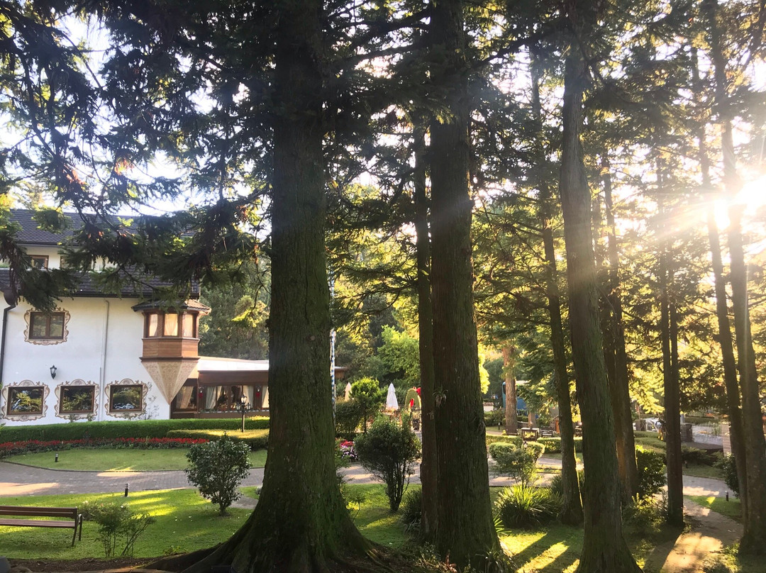 塔霍普纳酒店主图