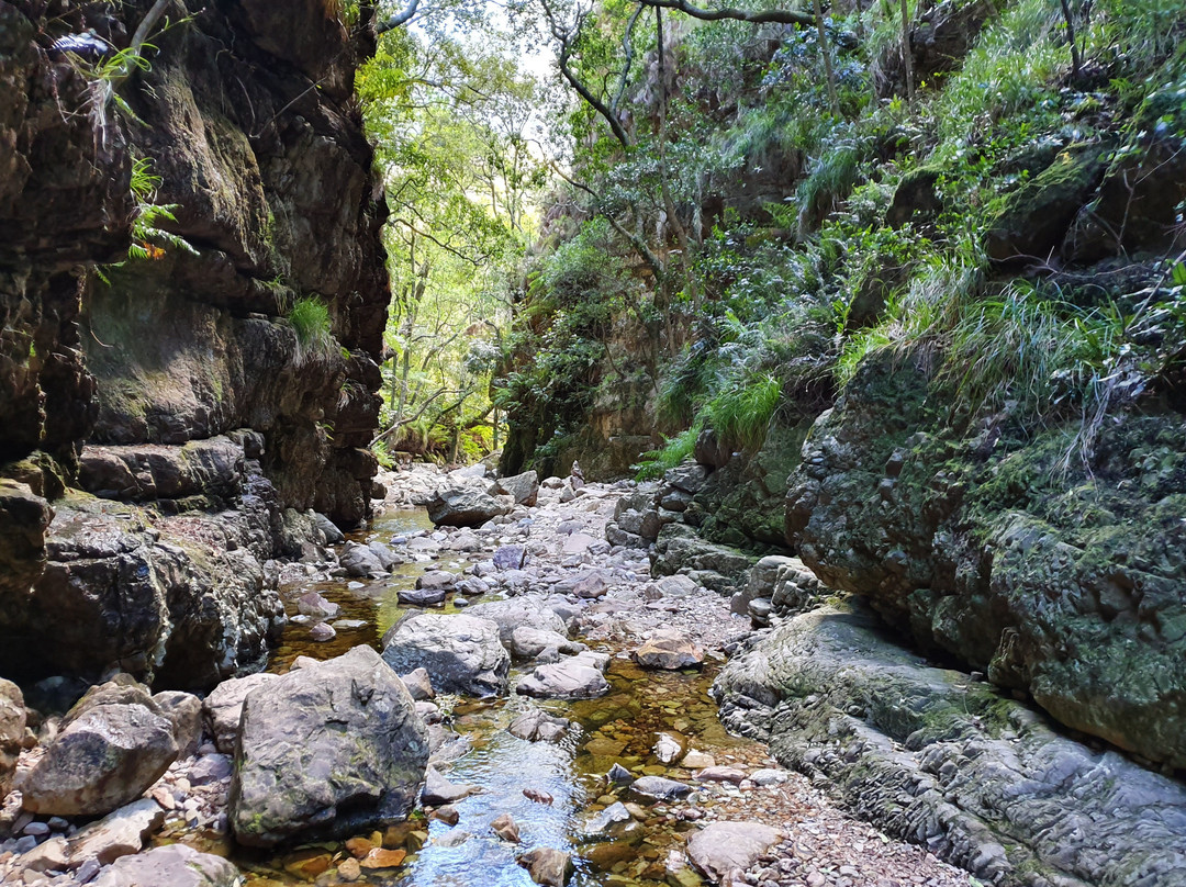 Jonkershoek Nature Reserve-斯泰伦博斯必去景点