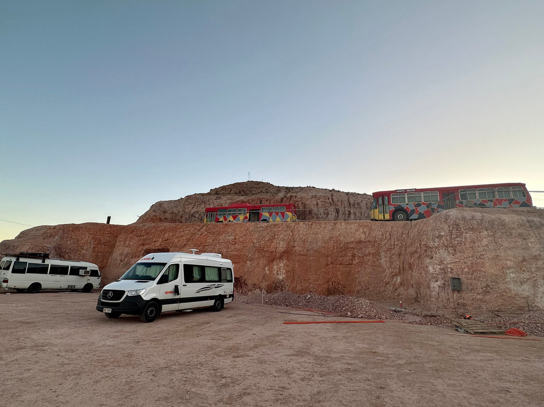 Tom Cats Travel Lodge